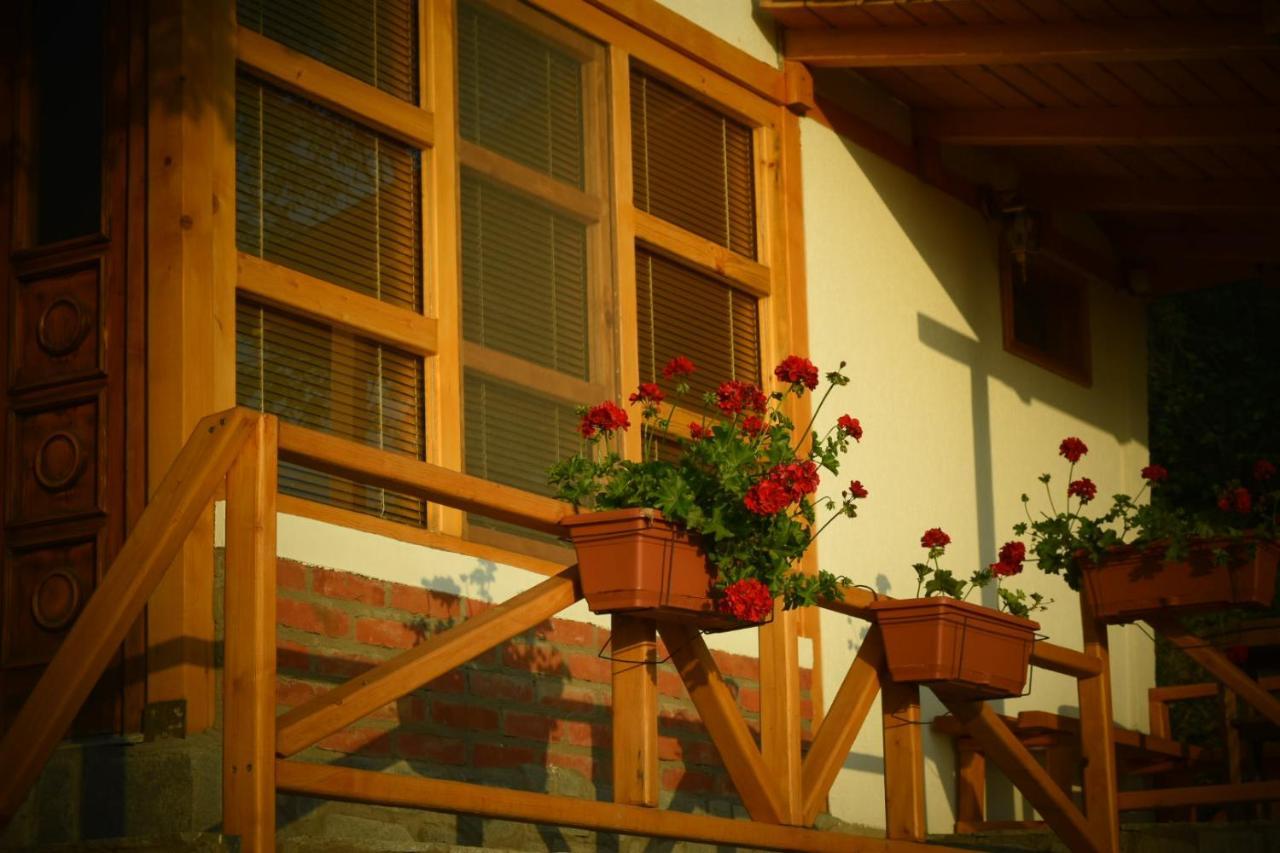 Apartament Sunset House Ochryda Zewnętrze zdjęcie